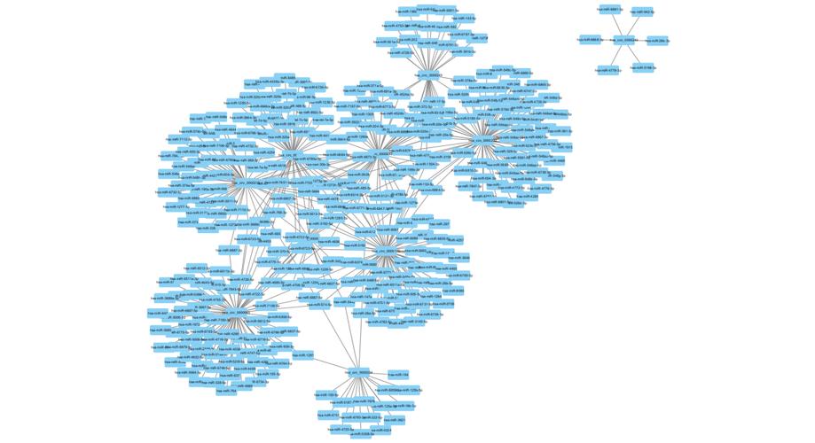 如何利用cytoscape畫互作網(wǎng)絡(luò)圖 – circrna論壇