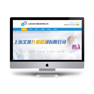 上海網(wǎng)站建設(shè)