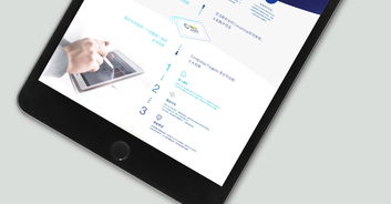 斯卓信息技術(shù) 上海 高端網(wǎng)站建設(shè)案例 上海雍熙